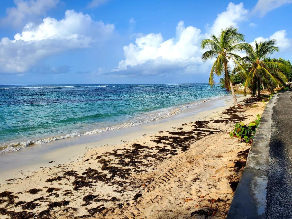 Villa L'Anjou Creole A Sainte Anne En Guadeloupe Avec Piscine Privee Et 2 Chambres Pour 4 Personnes Dış mekan fotoğraf
