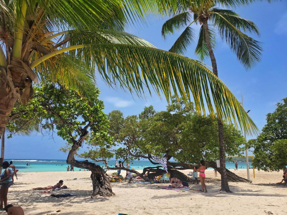 Villa L'Anjou Creole A Sainte Anne En Guadeloupe Avec Piscine Privee Et 2 Chambres Pour 4 Personnes Dış mekan fotoğraf