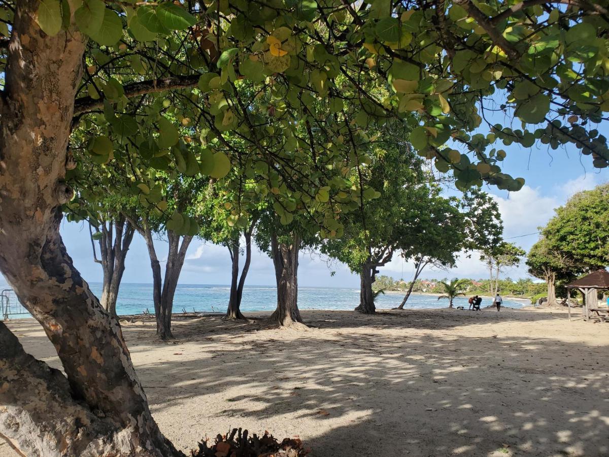 Villa L'Anjou Creole A Sainte Anne En Guadeloupe Avec Piscine Privee Et 2 Chambres Pour 4 Personnes Dış mekan fotoğraf