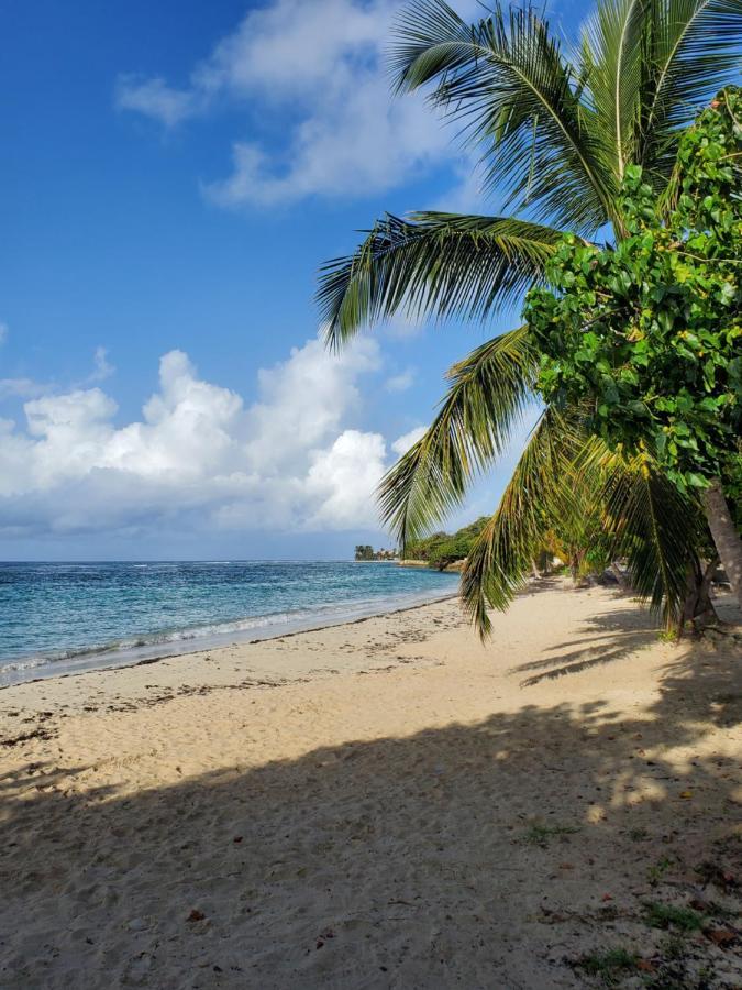 Villa L'Anjou Creole A Sainte Anne En Guadeloupe Avec Piscine Privee Et 2 Chambres Pour 4 Personnes Dış mekan fotoğraf