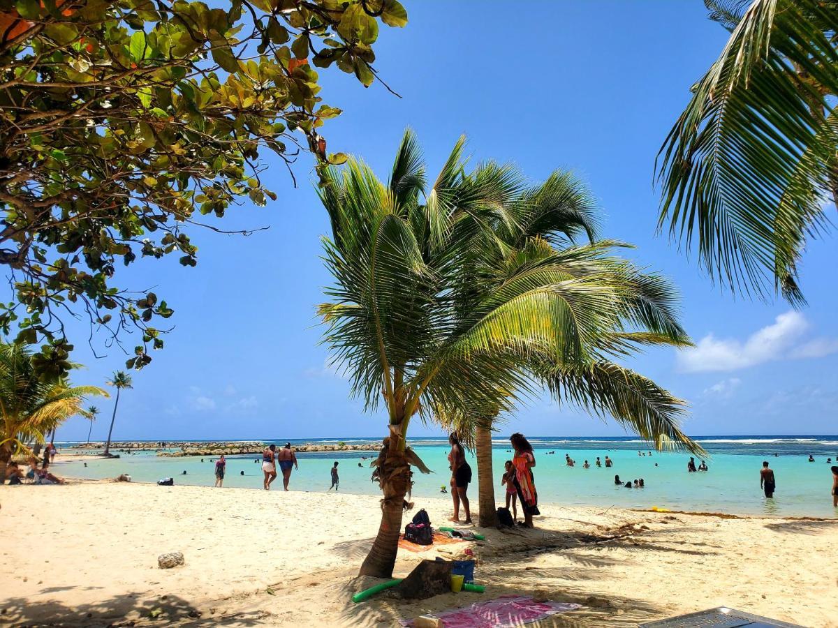 Villa L'Anjou Creole A Sainte Anne En Guadeloupe Avec Piscine Privee Et 2 Chambres Pour 4 Personnes Dış mekan fotoğraf