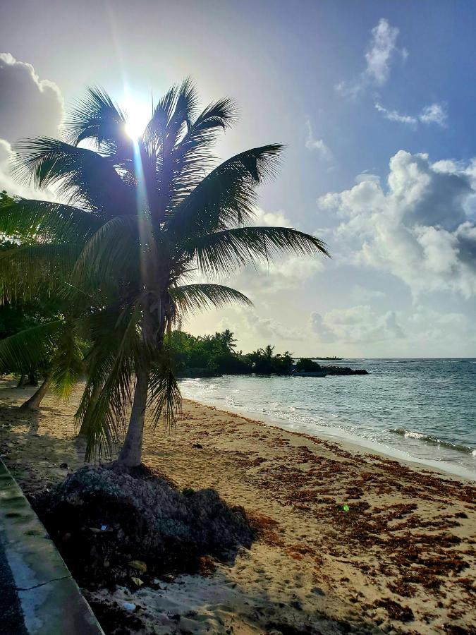 Villa L'Anjou Creole A Sainte Anne En Guadeloupe Avec Piscine Privee Et 2 Chambres Pour 4 Personnes Dış mekan fotoğraf