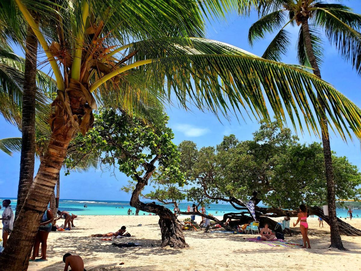 Villa L'Anjou Creole A Sainte Anne En Guadeloupe Avec Piscine Privee Et 2 Chambres Pour 4 Personnes Dış mekan fotoğraf