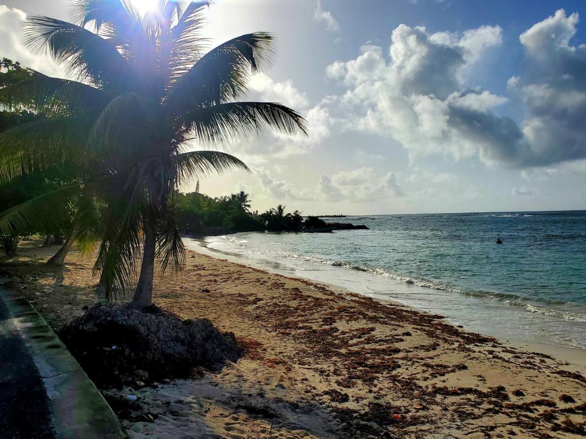 Villa L'Anjou Creole A Sainte Anne En Guadeloupe Avec Piscine Privee Et 2 Chambres Pour 4 Personnes Dış mekan fotoğraf