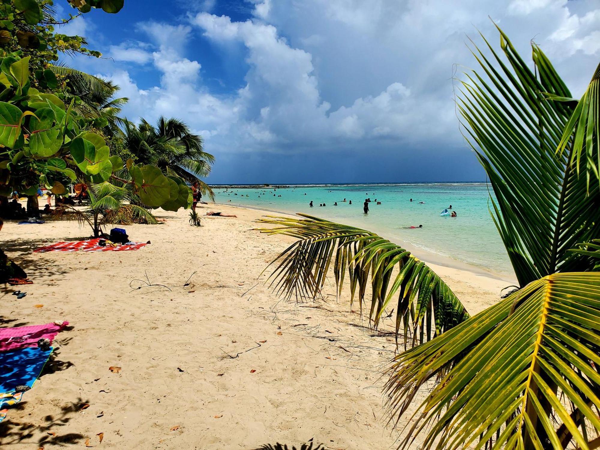 Villa L'Anjou Creole A Sainte Anne En Guadeloupe Avec Piscine Privee Et 2 Chambres Pour 4 Personnes Dış mekan fotoğraf