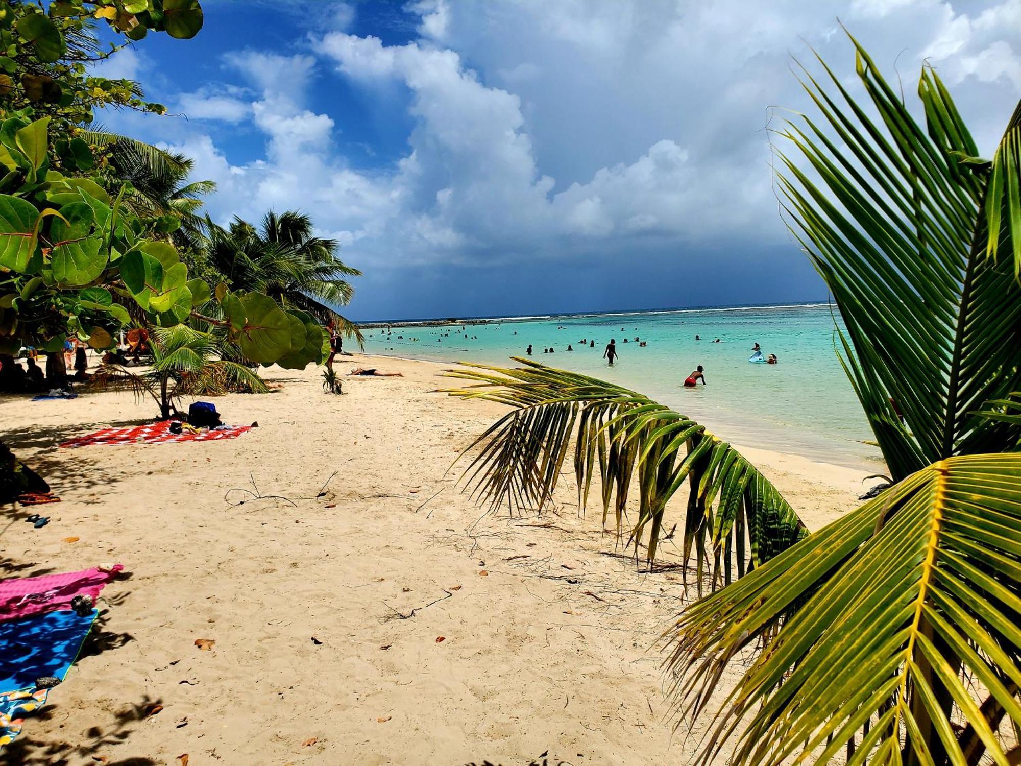 Villa L'Anjou Creole A Sainte Anne En Guadeloupe Avec Piscine Privee Et 2 Chambres Pour 4 Personnes Dış mekan fotoğraf